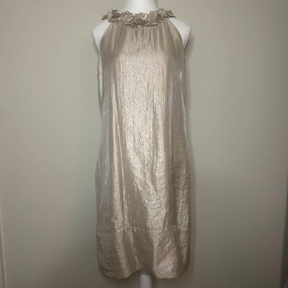 Dress Barn Collection Metallic Champagne Shift Dress – Size 12